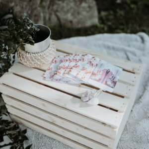 Joyful Journeys Bundle